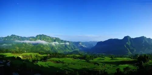 农村山药豆种植技术_豆山药种植农村技术研究_山药豆的种植技术