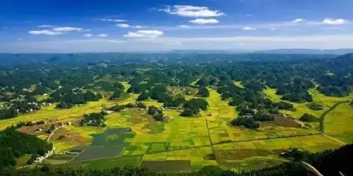 山药豆的种植技术_豆山药种植农村技术研究_农村山药豆种植技术