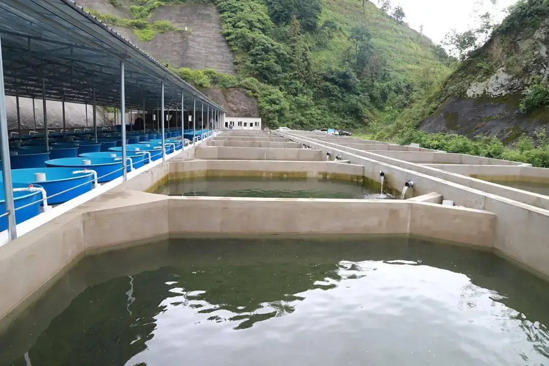 安顺：依托特色产业 绘就乡村振兴“好丰景”