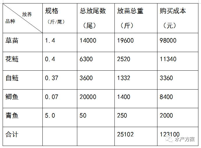 花鲢养殖基地_花鲢养殖高产技术_水产花鲢养殖技术