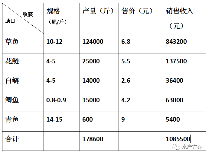 水产花鲢养殖技术_花鲢养殖基地_花鲢养殖高产技术