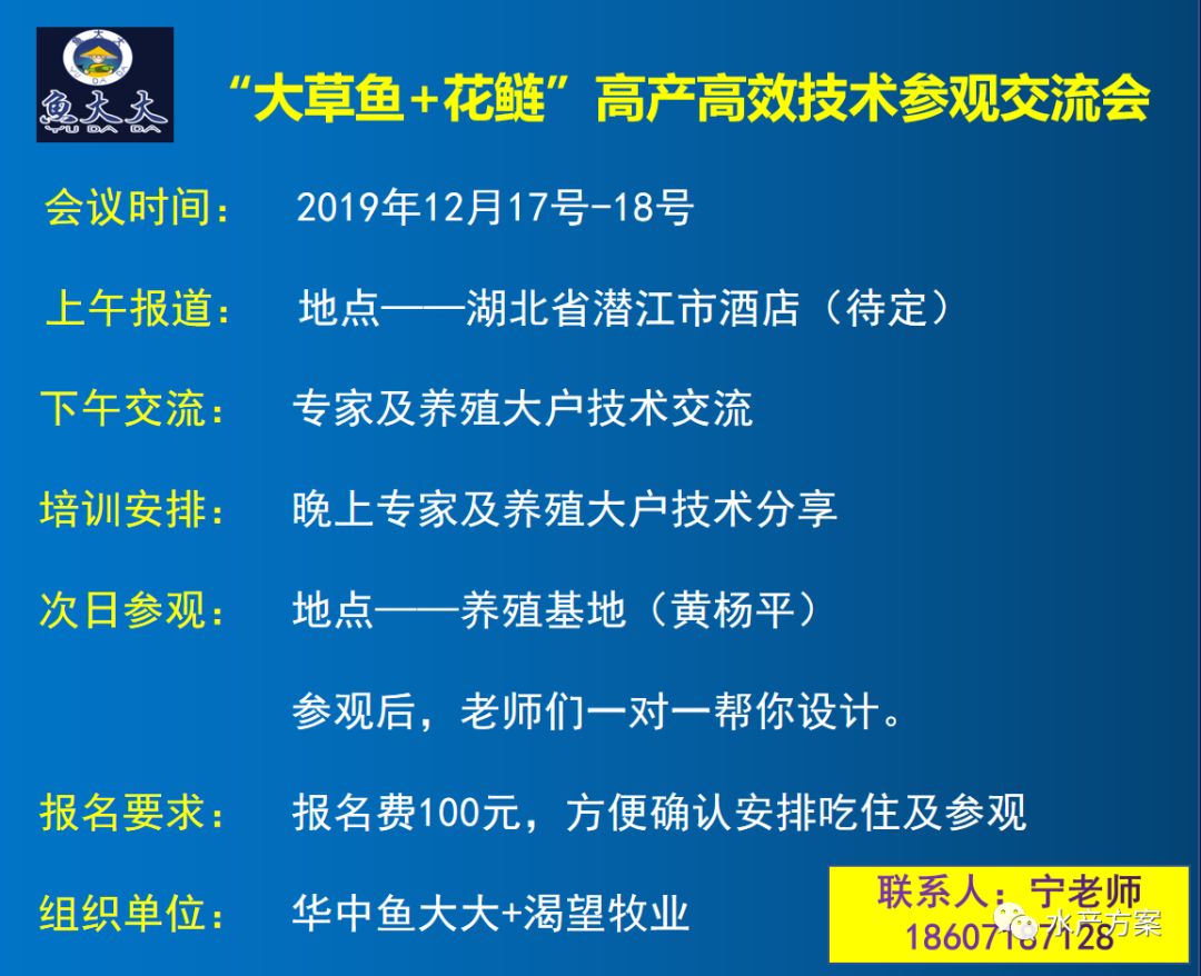 花鲢养殖基地_花鲢养殖高产技术_水产花鲢养殖技术