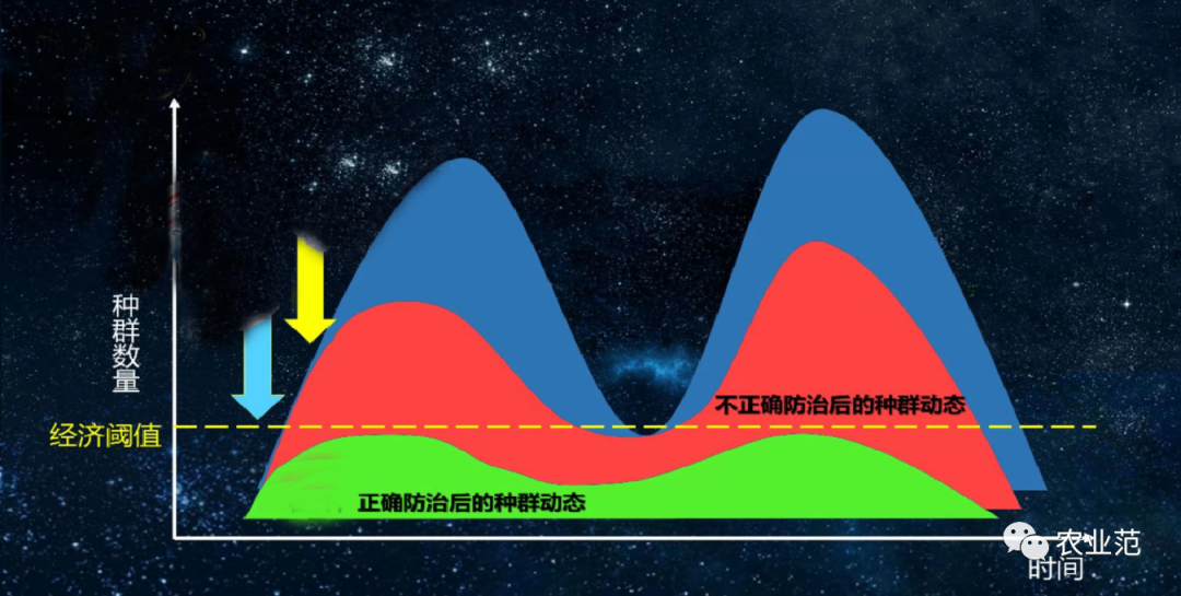 养殖天牛技术要求_天牛养殖技术_养殖天牛技术视频