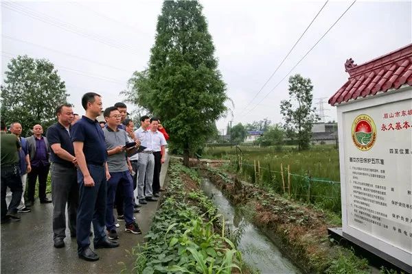 致富养殖蔬菜视频_养蔬菜赚钱_蔬菜养殖致富吗