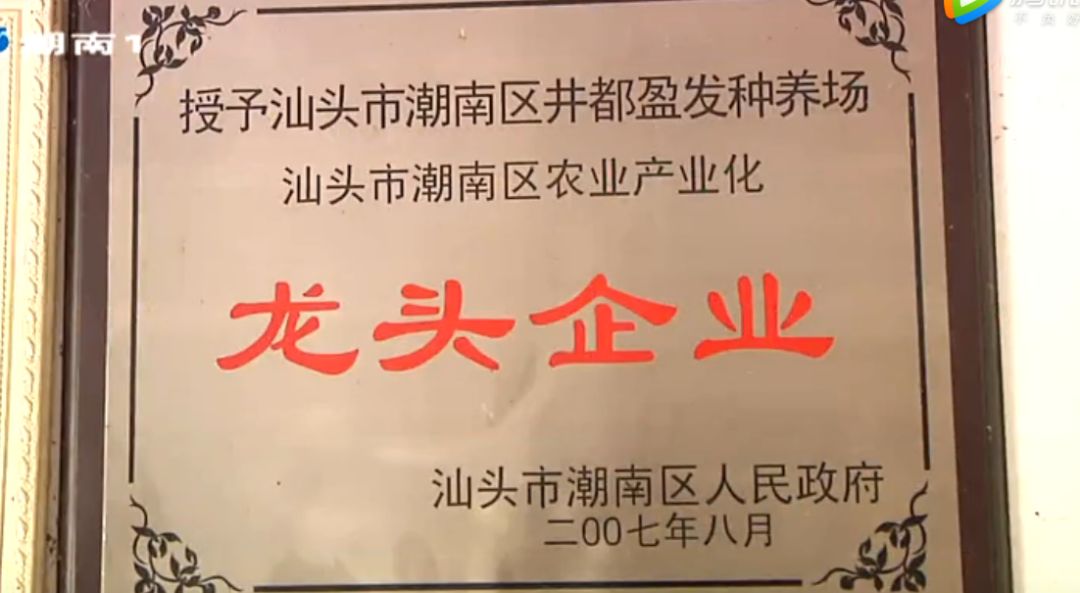 蛋鸡养殖致富方法_致富经养殖鸡视频_致富经蛋鸡养殖视频