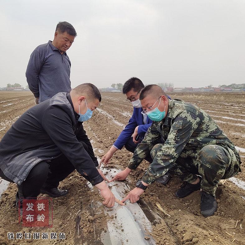 铁岭种植结构_铁岭适合种植什么药材_铁岭农业种植致富