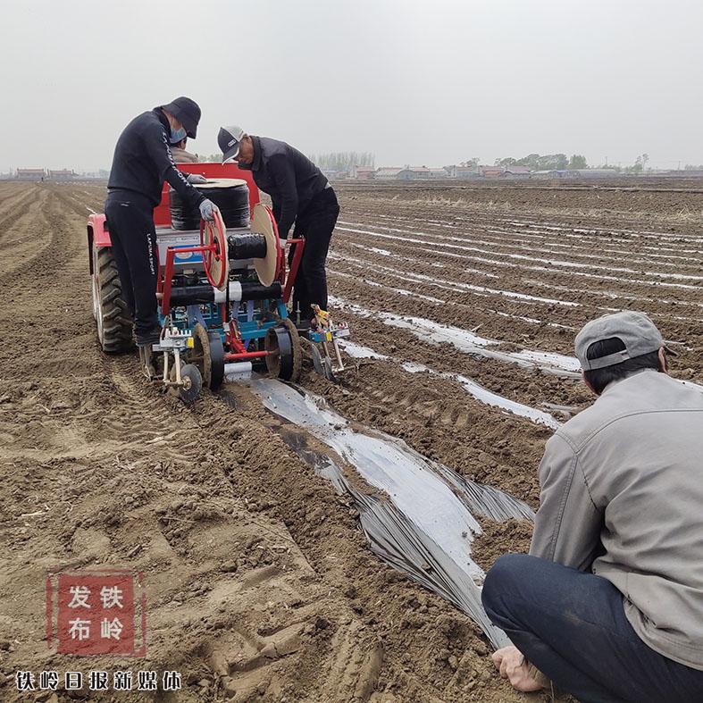 铁岭适合种植什么药材_铁岭种植结构_铁岭农业种植致富