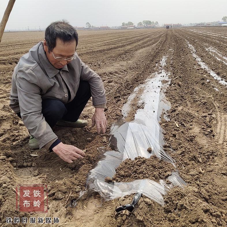 铁岭种植结构_铁岭适合种植什么药材_铁岭农业种植致富