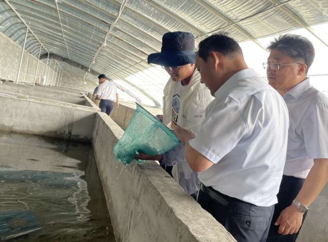 湖南龙虾养殖技术培训_龙虾养殖学院_龙虾养殖培训学校