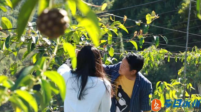 种黑老虎发财是骗局_种黑老虎可以致富吗_种植黑老虎致富