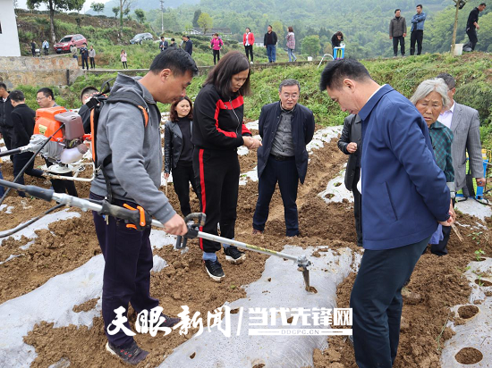 辣椒怎么种植致富_致富辣椒种植方法_辣椒种植效益