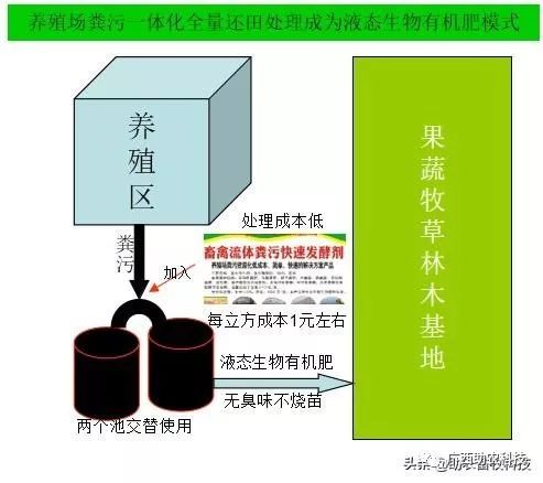 糖蔗种植技术_糖蔗高产种植关键技术_糖蔗栽培技术