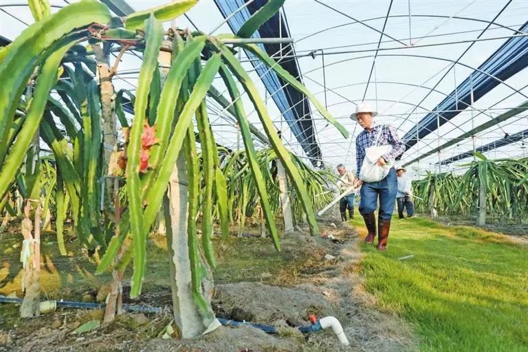 深圳致富养殖_深圳养殖企业_深圳养殖好项目有哪些