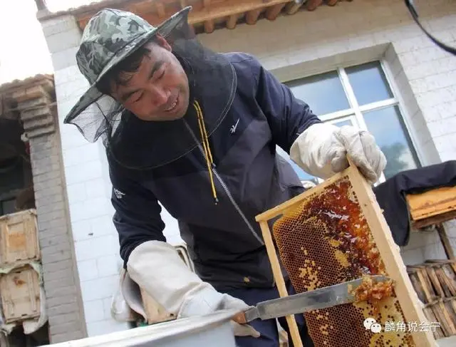 致富养殖业_致富养殖项目_宁县特色养殖致富