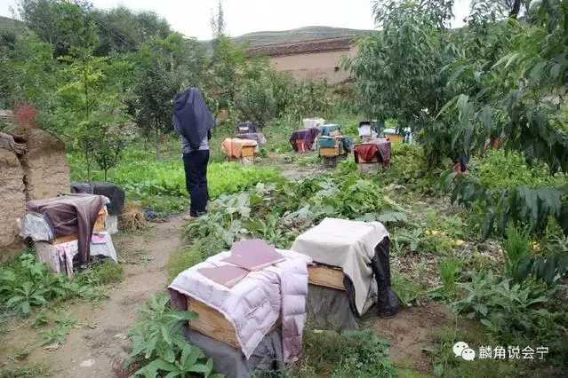 致富养殖业_宁县特色养殖致富_致富养殖项目