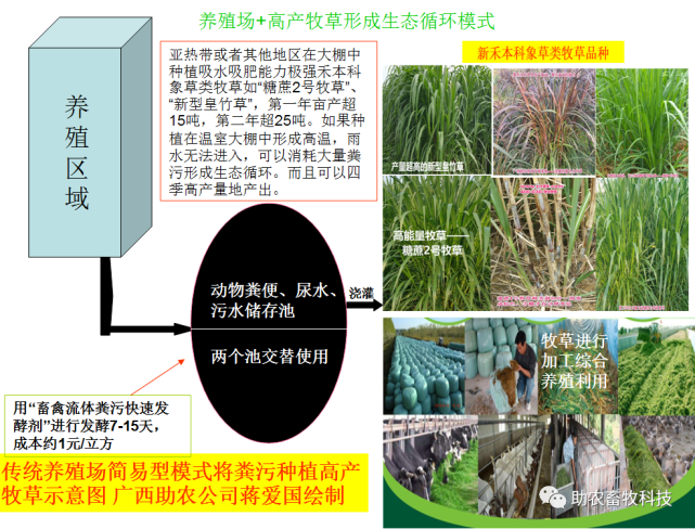 养殖业老板_这个老板养殖技术好_养殖业老大