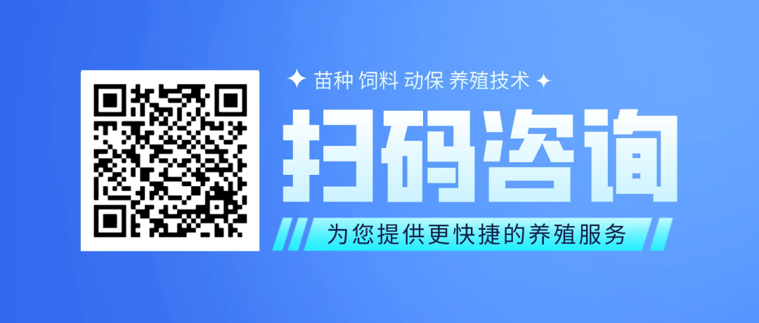 养殖青鱼的成本利润_养殖利润青鱼技术要求_青鱼养殖技术和利润