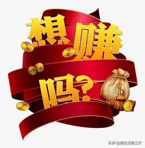 别再傻傻打工啦，这些小投入行业比打工强多了，值得一试