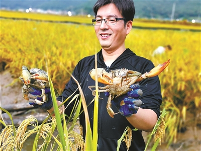 蛏子养殖技术水位_淡水养殖蛏子技术要点_蛏子淡水养殖技术