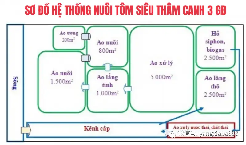 对虾养殖需要什么条件_养殖对虾技术要求高吗_饲养对虾养殖