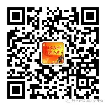 养殖大石鸡技术与管理_正宗石鸡养殖案例_大石鸡养殖技术