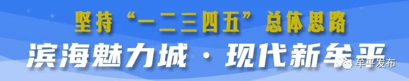 【新闻发布会】王格庄镇：撦鼓夺旗千般勇 乡村振兴立潮头