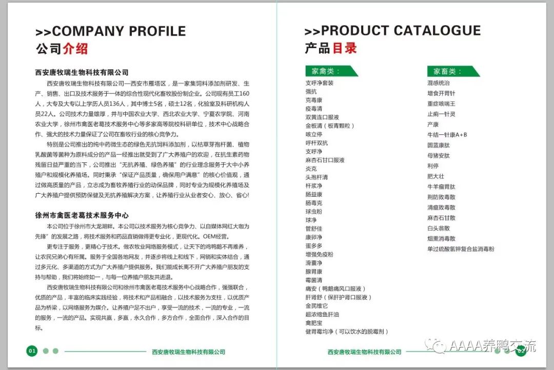 致富经鹅养殖技术_鹅的养殖技术_养殖鹅致富经