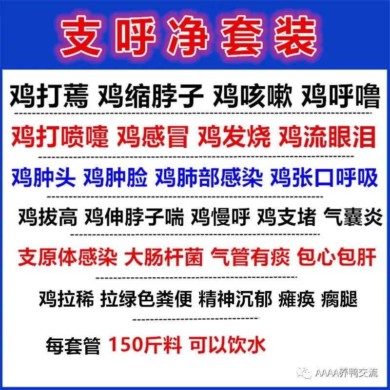 鹅的养殖技术_养殖鹅致富经_致富经鹅养殖技术