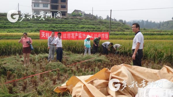 致富经亩产十八万斤鱼_家鱼亩产量_亩产鱼有多少斤