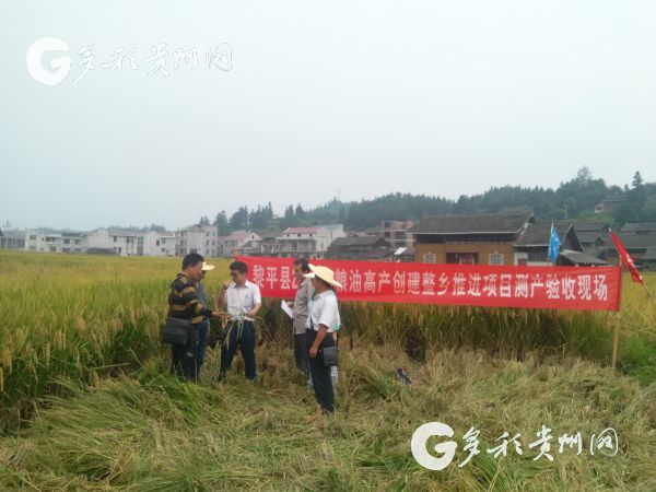 家鱼亩产量_亩产鱼有多少斤_致富经亩产十八万斤鱼