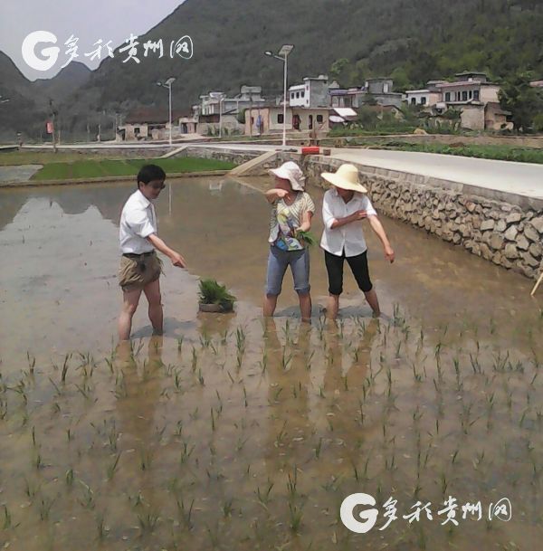 致富经亩产十八万斤鱼_亩产鱼有多少斤_家鱼亩产量