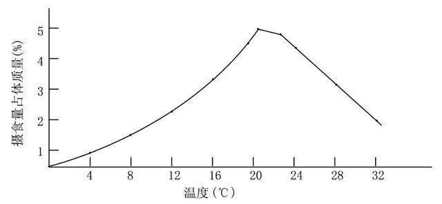 池塘黄颡鱼养殖技术_鱼塘黄鳝养殖方法_黄颡鱼水泥池养殖技术视频