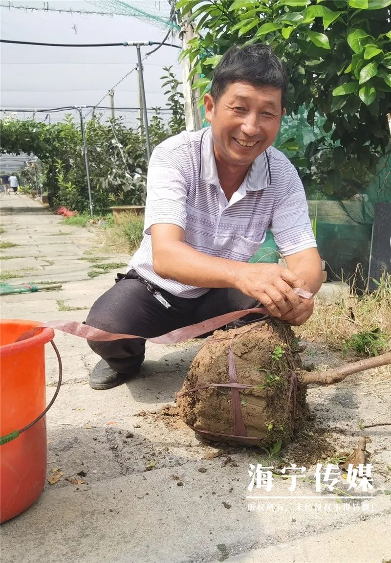 致富种植葡萄林图片_葡萄林种植致富_种植葡萄效益怎么样