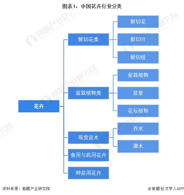 预见2023：《2023年中国花卉行业全景图谱》(附市场规模、竞争格局和发展前景