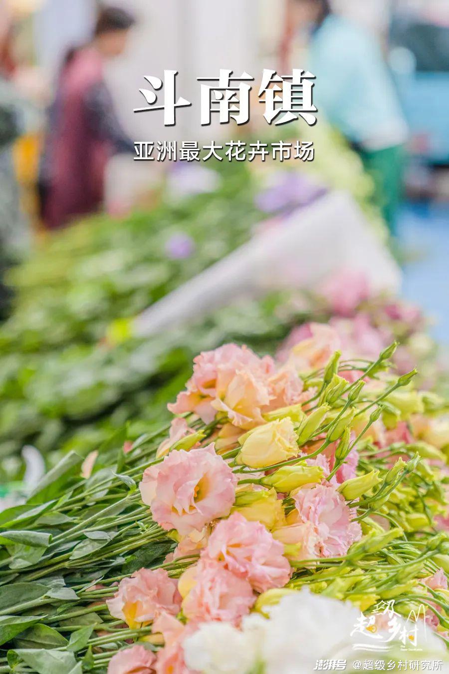 河南花卉种植批发基地_河南花卉种植致富_河南花卉种植基地