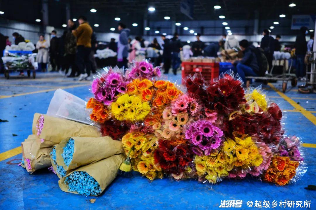 河南花卉种植批发基地_河南花卉种植致富_河南花卉种植基地