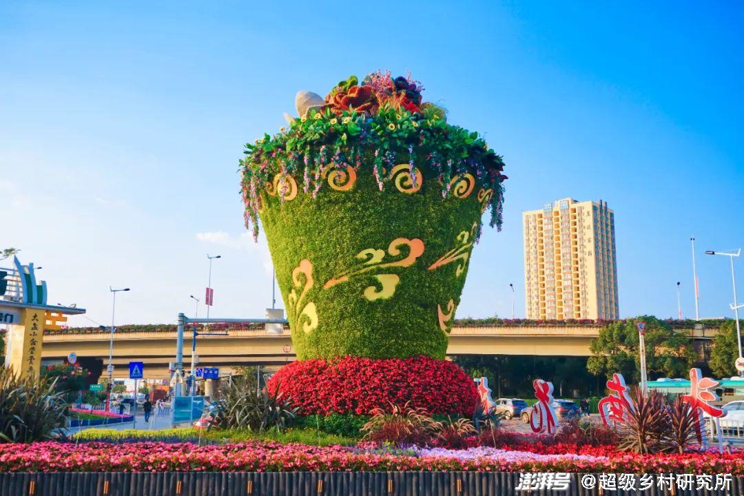 河南花卉种植致富_河南花卉种植批发基地_河南花卉种植基地