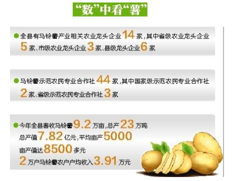 惠东“小土豆”成“致富薯” 去年总产值7.82亿元1.png