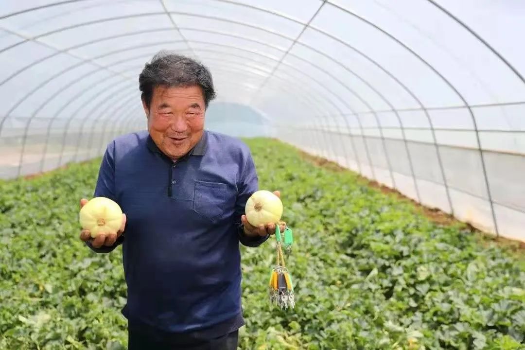 花生油的价值_花生榨油赚钱吗_花生油致富经