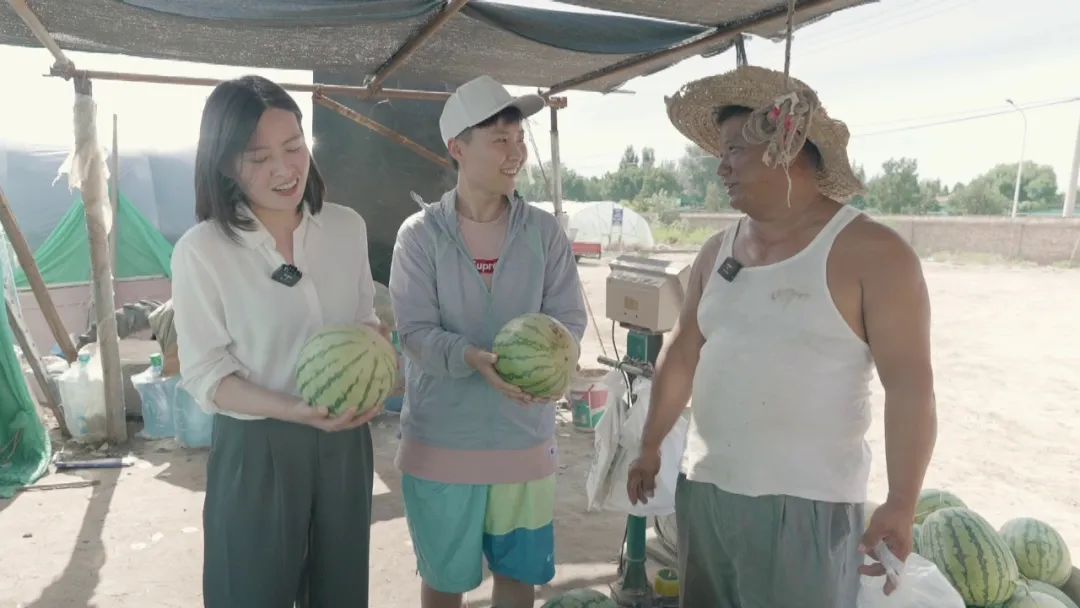 九月瓜苗_瓜几月种_九月瓜种植技术