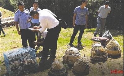 濒危动物上餐桌——一起命案牵出的买卖野生动物大案