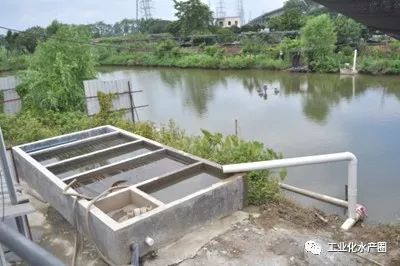 贵州生态鱼养殖基地_贵州生鱼养殖技术_贵州养殖生鱼技术培训学校