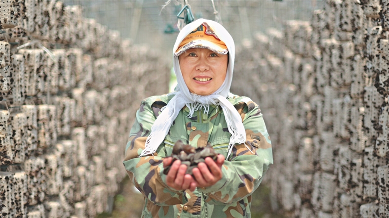 适合农村创业致富花卉种植_农村种植致富好项目视频_农村种植花能致富吗视频