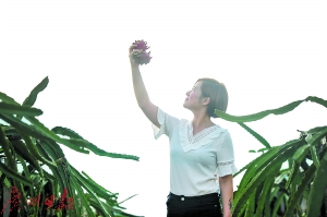 致富脱水蔬菜图片_致富经脱水蔬菜_脱水蔬菜品种