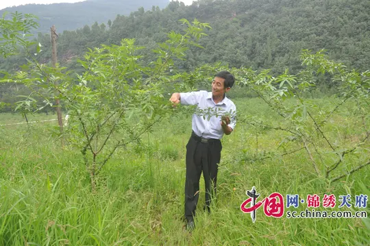 致富经记着_重生九零致富记_田赐良缘农女致富记