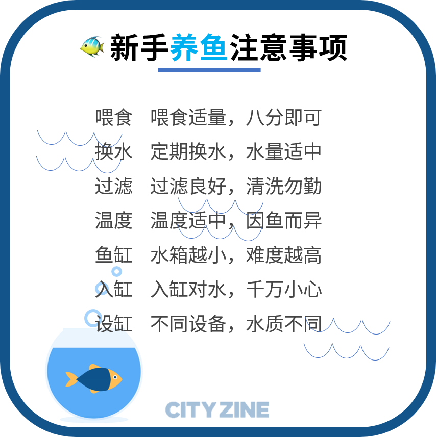 热带鱼养殖技术视频_如何养殖热带鱼视频_视频养殖热带鱼技术教程