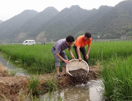 养殖水蛇技术视频_养殖水蛇技术要求_养殖水蛇技术