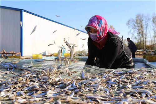 养殖水蛇技术视频_养殖水蛇技术_养殖水蛇技术要求