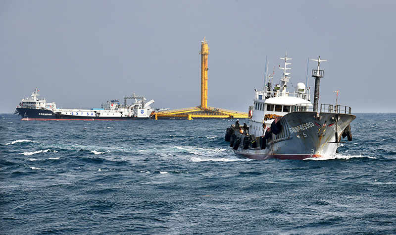 海河豚养殖技术_河豚养殖_河豚养殖技术视频