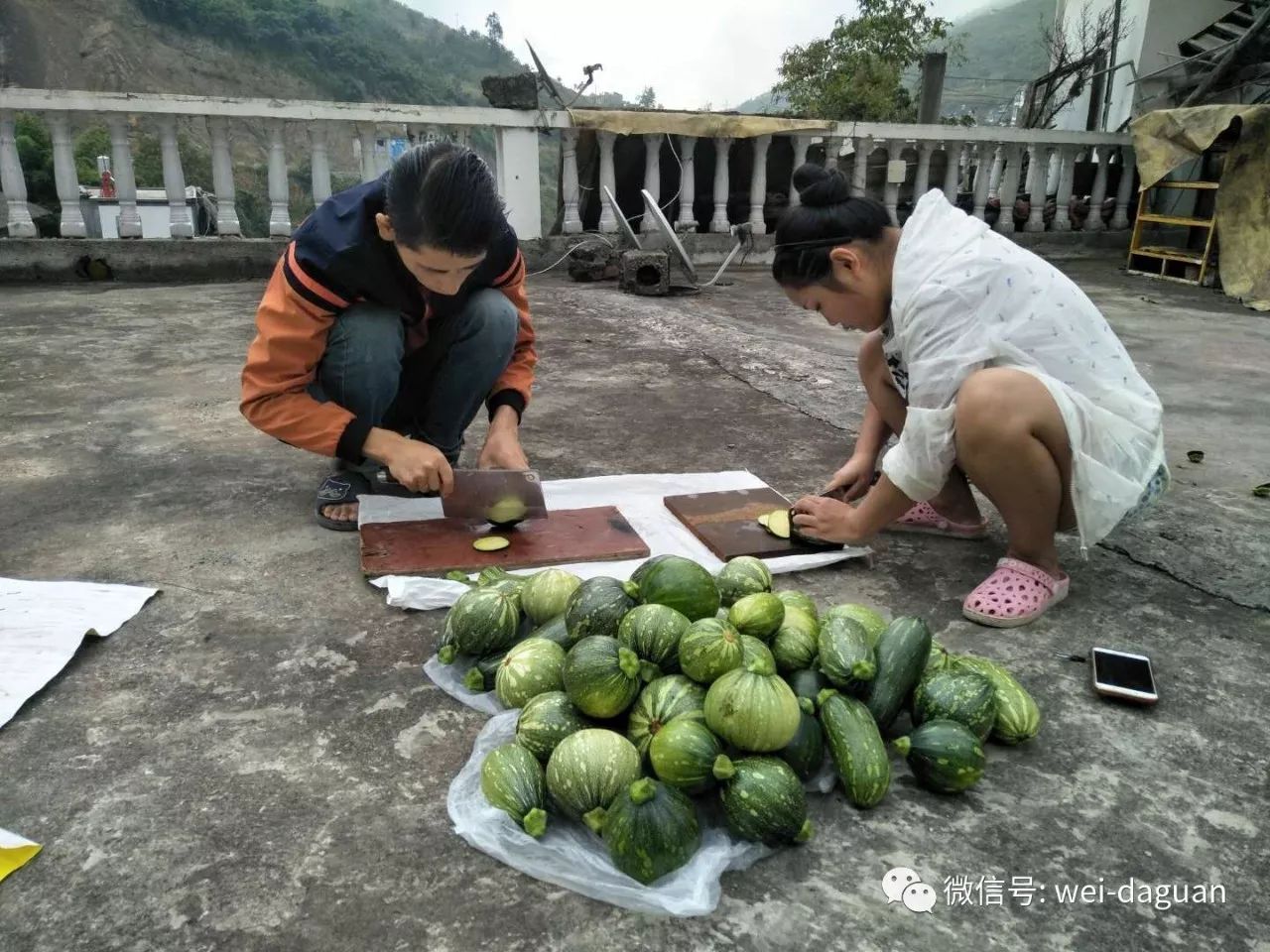 年种植什么赚钱种植致富项_聋哑夫妇种植致富_致富夫妇种植聋哑人视频